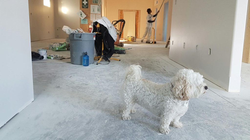 House Construction